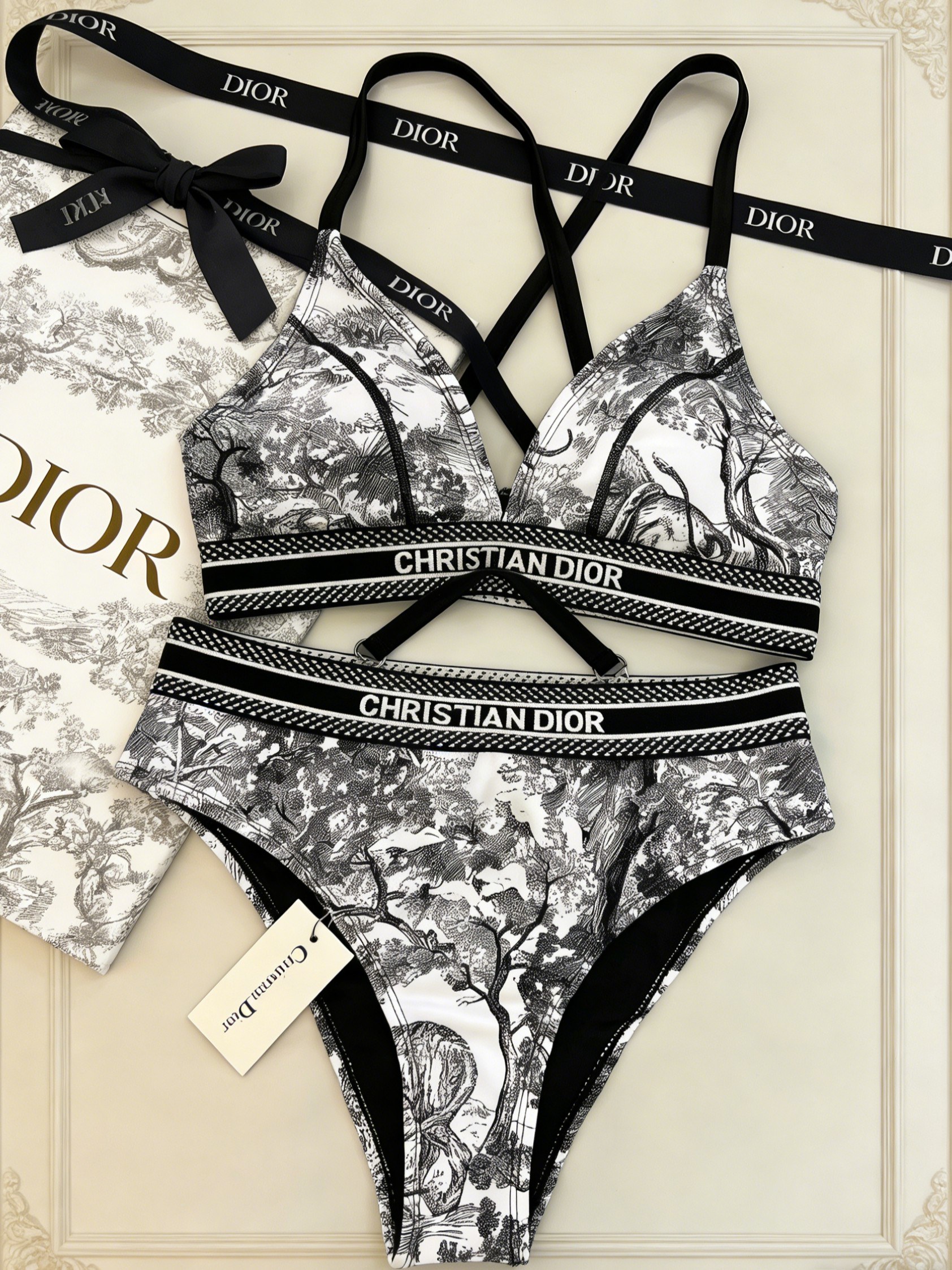 Dior Toile De Jouy Print Bikini